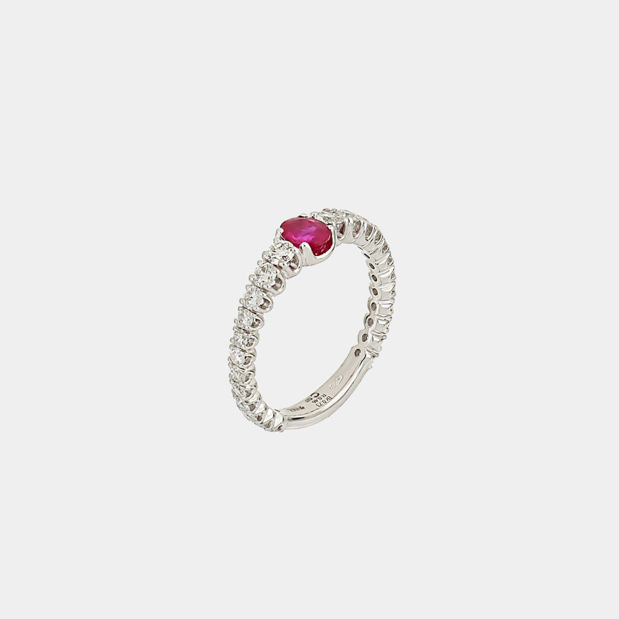 Ring - Life in color